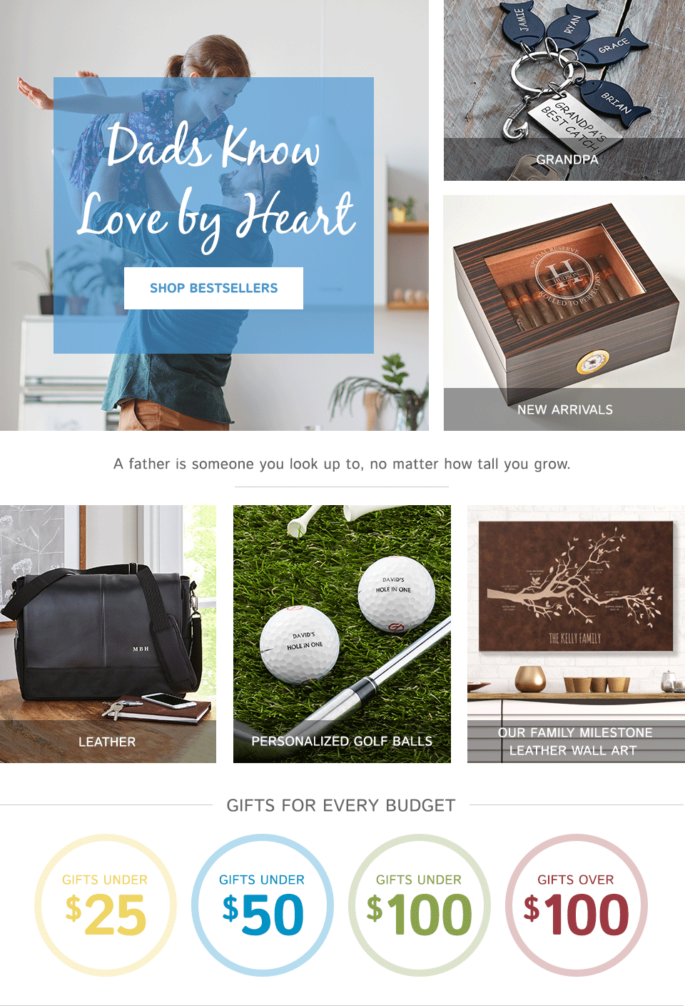 Find the Best 2019 Father’s Day Gifts at Gifts.com