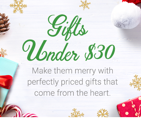 women's gifts under $30