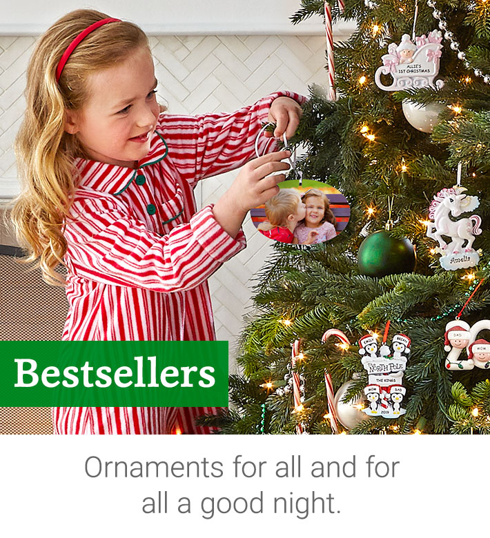 13+ Zebra Christmas Ornaments 2021