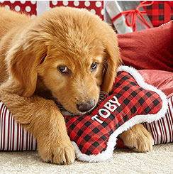 personalised pet gifts